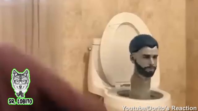 6 Skibidi Toilet Captado en Cámara en la Vida Real смотреть онлайн
