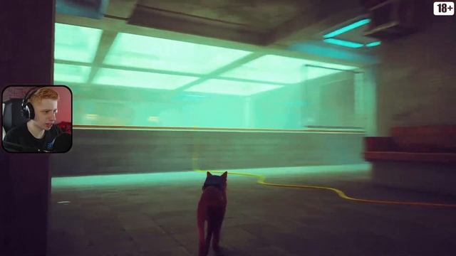 Прохождение Stray | Мидтаун и Клементина | #8 смотреть онлайн