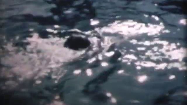1950 Piscine Du Rua Alger
