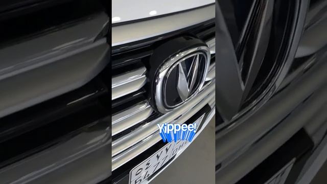 Meet our new baby, the all-new Changan CS95 Royal edition смотреть онлайн