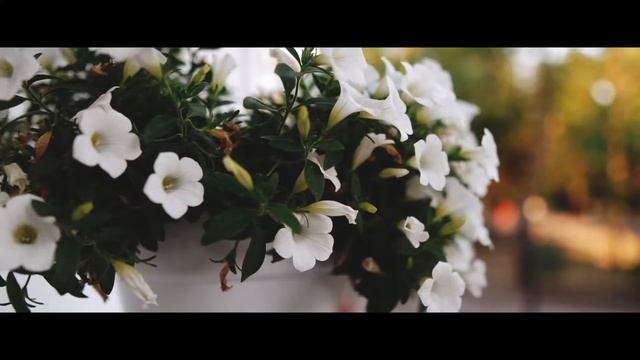 Дача Мариуполь смотреть онлайн