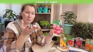 Томат Непас 3