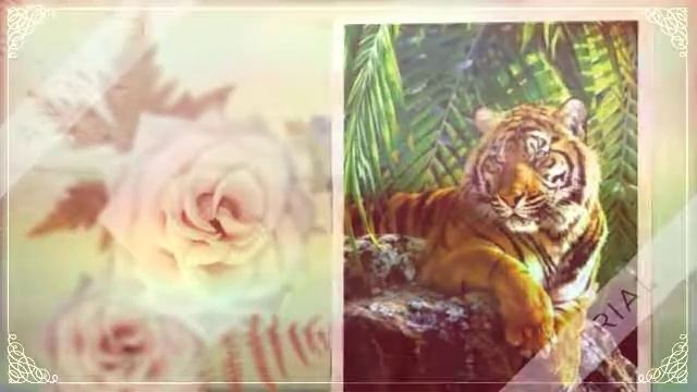 Изобилие денег, удачи, процветания & богатство смотреть онлайн