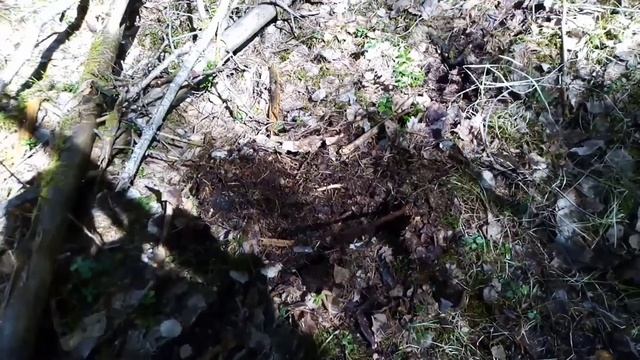 ПРИЁМКА... Дурят по полной... смотреть онлайн