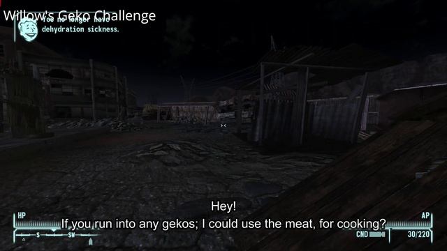 [4K/60FPS] Fallout New Vegas Mods | Willow Companion #7 | Interactions #3 смотреть онлайн