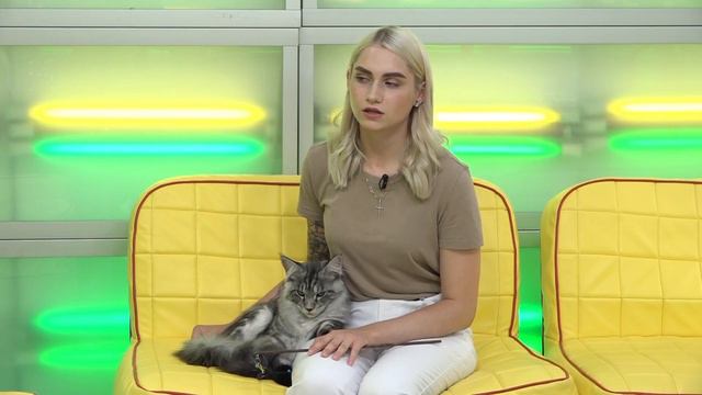 Мария Красикова // «Оранжевое утро» 08.08.22 смотреть онлайн