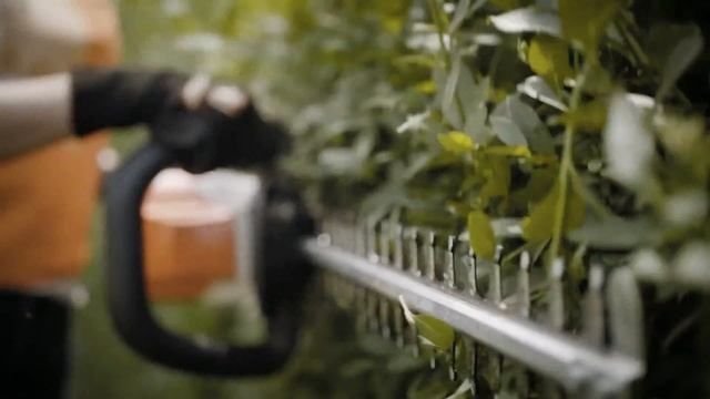Die Akku-Heckenschere HSA 56 von STIHL смотреть онлайн