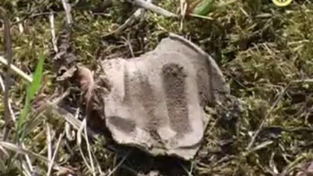 Tesoro Tejon Video Review видеообзор, тесты