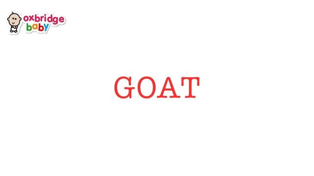 Animal Sounds For Children (20 Amazing Animals)