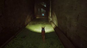 Прохождение Stray — Полное прохождение