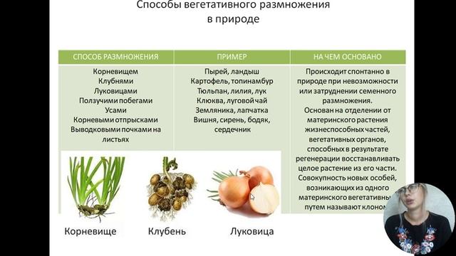 #1.10 | Покрытосеменные ч.3. Половое размножение, вегетативное размножение смотреть онлайн