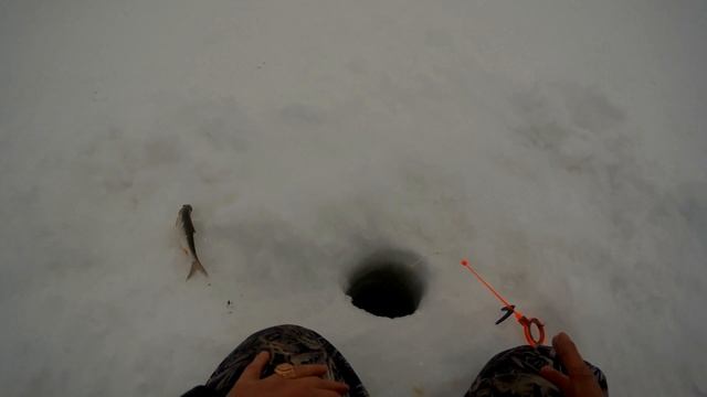 На эту снасть рыбачить нельзя. Рыбалка на реке Б.Кинель. Ловля плотвы в оттепель. смотреть онлайн