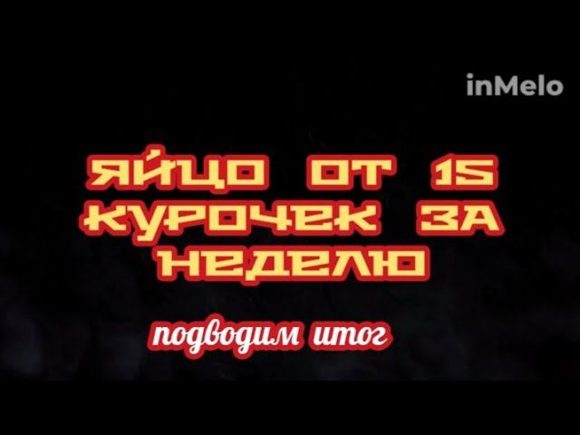 Сколько дали курочки яиц за неделю. Подводим итог. смотреть онлайн