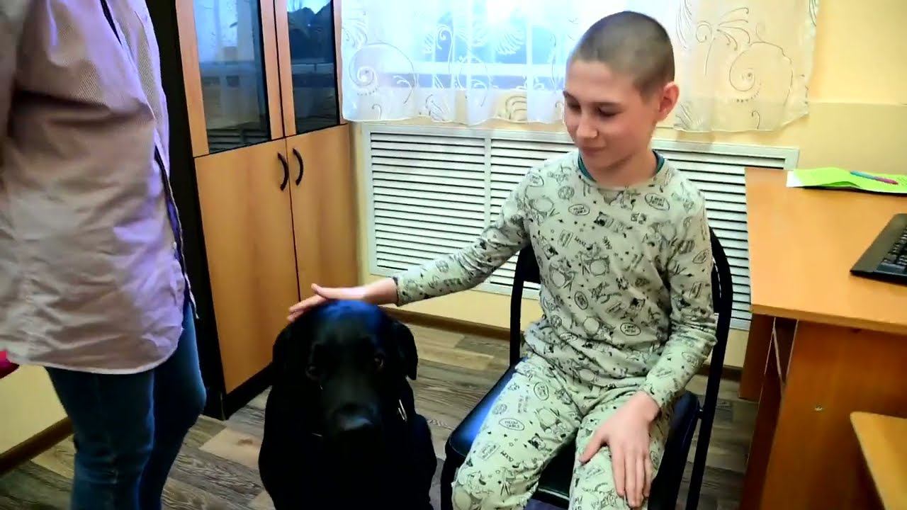 «Канистерапия как метод безопасного общения с собакой...» смотреть онлайн