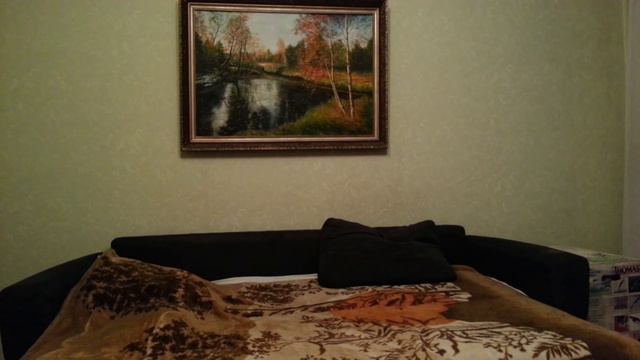 Лучший способ ношения фикса в городе (видео-ответ Андрею Минору) смотреть онлайн