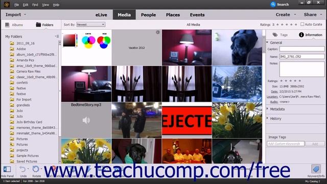 Photoshop Elements 2018 Tutorial Opening a Camera Raw Image from the Organizer Adobe Training смотреть онлайн