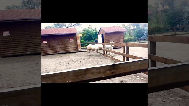 Отдых в Бердянске смотреть онлайн