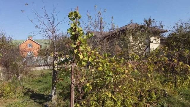 ОТЛИЧНЫЙ ДОМ В ГОРОДЕ! БЕЛОРЕЧЕНСК! ЦЕНА: 8 000 000 РУБ! смотреть онлайн