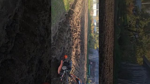 Мотоблок в работе Запуск, работа с культиватором широкий смотреть онлайн