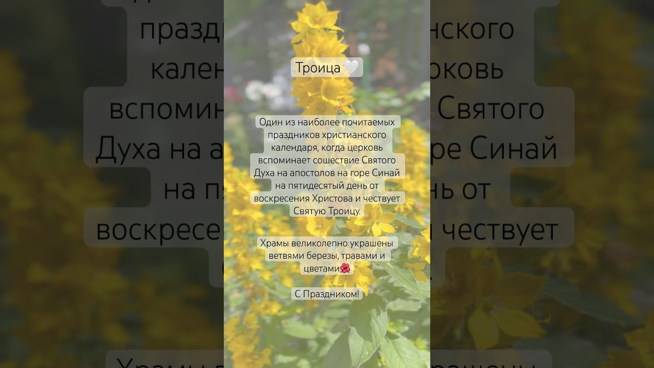 Троица  | ПЯТИДЕСЯТНИЦА | больше в ИНСТ @b_g_t_r_v | С праздником, православные❤️ #троица