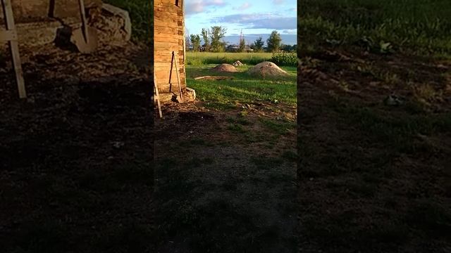 Биоэнергетика / Работа дома 1 (360p).mp4 2020 г.