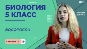 Водоросли. Урок 21.Биология 5 класс