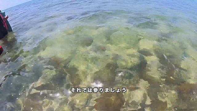 ホテル暮らし#128 | ホテルイーストチャイナシー2泊3日 | ウミガメに会い奇跡の島バラス島でシュノーケリングしてホンマグロを楽しんだ石垣島ひとり旅 смотреть онлайн