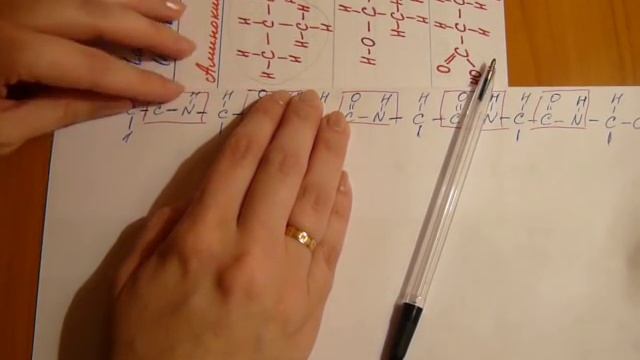 Биохимия. Белки. Строим полипептидную цепь. смотреть онлайн