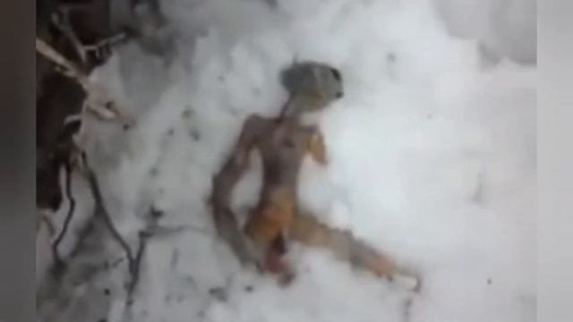 ТОП 3 настоящих инопланетян снятых на камеру смотреть онлайн