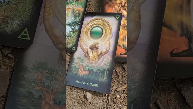 какая душа у этого малыша ? смотреть онлайн