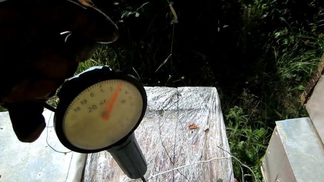 Пчеловодство.Beekeeping.Пересаживаю пойманные рои пчёл с леса в улья.Сколько весят ловушки.Сила рое смотреть онлайн
