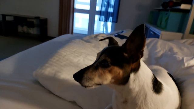 4 декабря 2022 г. смотреть онлайн