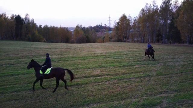 Сяду я верхом на коня!!!! смотреть онлайн