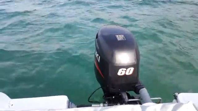 Suzuki Marine DF 60 ATL PROBLEM. смотреть онлайн