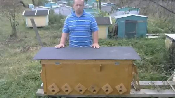 ОБУЧАЮЩИЙ КУРС УЛЕЙ ЛЕЖАК ВЛАДИМИРСКИЙ