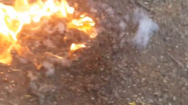 Как горит тополиный пух. смотреть онлайн