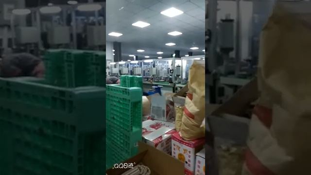 第三代智能全自动双工位多股绕线机 做无刷电机及伺服电机的必备设备，支持0.1-1.2绕径 смотреть онлайн