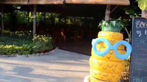 Территория отеля даймонд бей конд отель Вьетнам февраль 2020