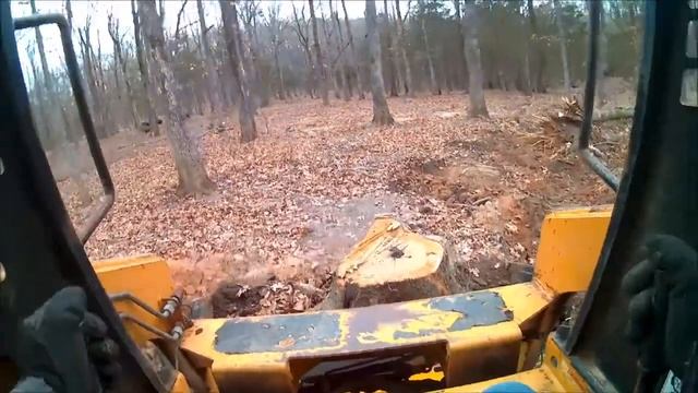 Clearing out trees & stumps for a pond смотреть онлайн