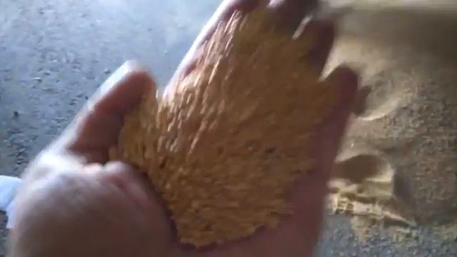 Самоходная зерноочистительная машины Алмаз https://almaz-agro.online/katalog #зерноочистительная смотреть онлайн