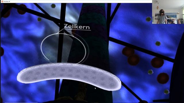 The Body VR Journey Inside a Cell смотреть онлайн