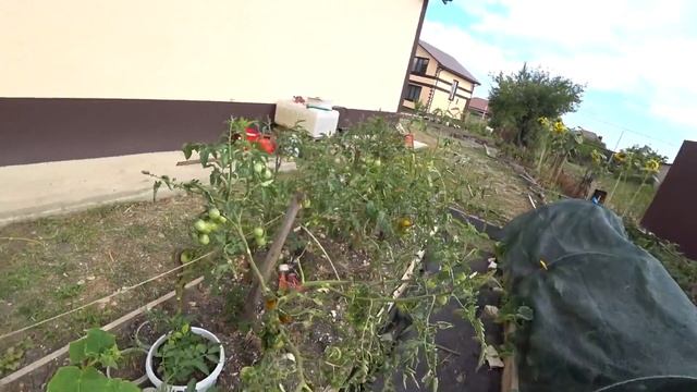 Перекрасила грядку. Готовим с мамой ужин. Все в сборе. смотреть онлайн