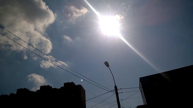 Странные птицы перед грозой 2016.07.13 смотреть онлайн