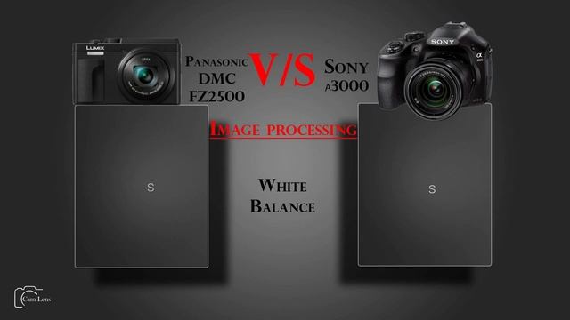 Panasonic Lumix DMC FZ2500 vs Sony α3000 смотреть онлайн
