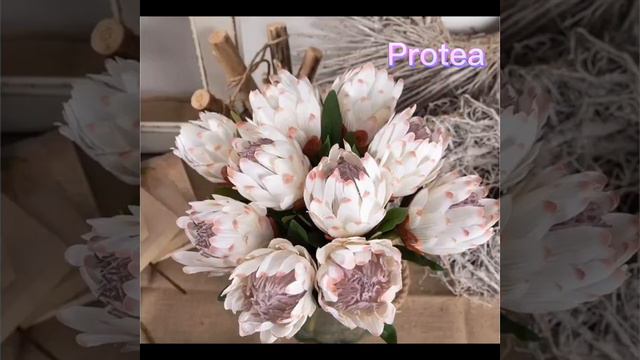 Artificial Silk Flower Wholesale- Protea for #homedecor #officedecor #storedesign смотреть онлайн