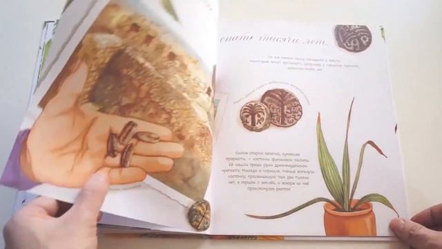 Дианна Астон и Сильвия Лонг. Что снится семечку? смотреть онлайн