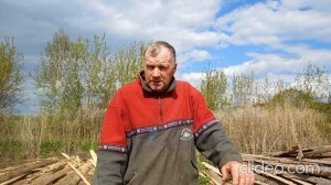 Приманка на соболя и куницу.