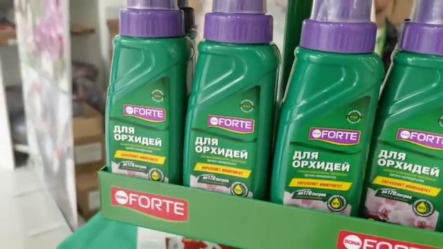 ОРХИДИУМ 2021?Выставка-ярмарка ОРХИДЕЙ смотреть онлайн