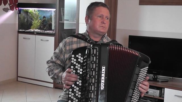 jgraj bajan 001(ТО НЕ ВЕТЕР ВЕТКУ КЛОНИТ) смотреть онлайн