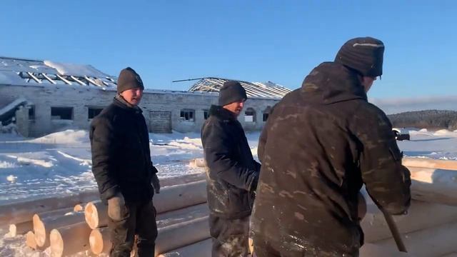 Сосна -это не сито